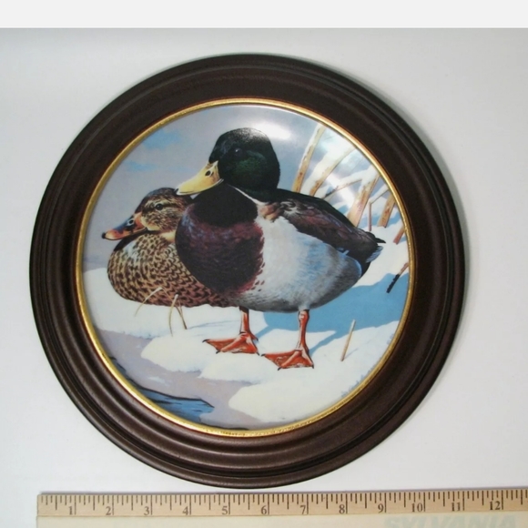 Natures Heritage Northern Mallards Rod Lawrence Waterfowl America Plate Framed - Picture 6 of 6